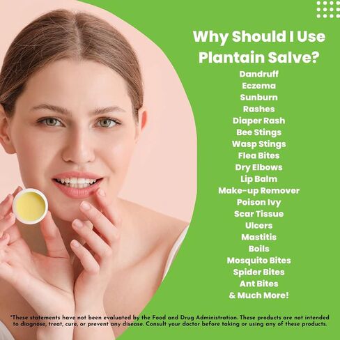 Harmony's Plantain Salve- 2oz in Saudi Arabia