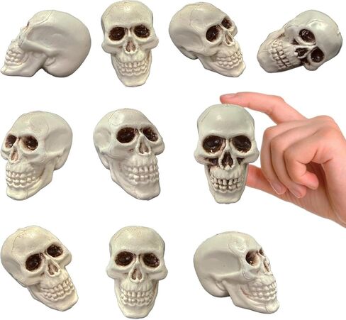 10 Pcs Plastic Skull Heads for Halloween Party Decorations, Small Mini Little Skeleton Head Skulls Model Home Decor in Kuwait