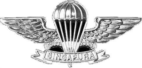 Generic Silver Singapore Airborne Parachutist Badge (Basic Airborne Wings) in Kuwait