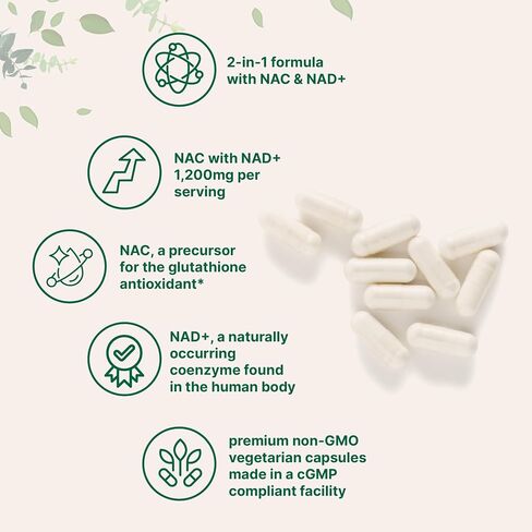 Micro Ingredients NAC with NAD+, 240 Vegetarian Capsules | 1,200 mg Per Serving | 2-in-1 N-Acetyl-L-Cysteine with Nicotinamide Adenine Dinucleotide | Non-GMO, cGMP Manufactured in Kuwait