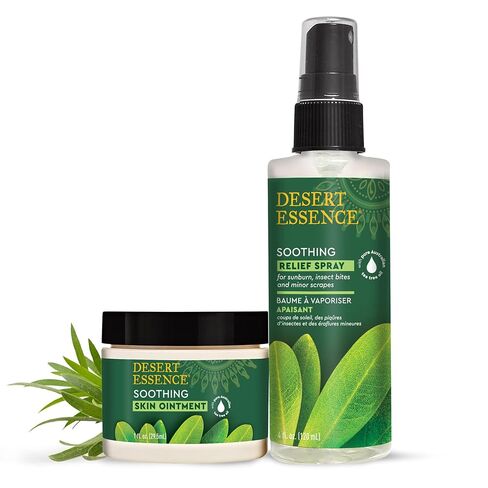 Desert Essence Organic Tea Tree Oil Skin Ointment - 1 Fl Oz - Pack of 4 - Jojoba & Lavender Essential Oils - Vitamin E - Sweet Almond Extract - Moisturizer For Dry Skin, Skin Irritations, Cuticles in Kuwait