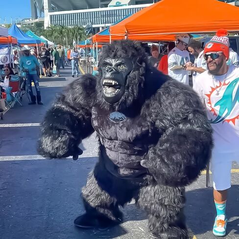 8.5FT Inflatable Gorilla Costume for Adults Blow up King Kong Suit Giant Ape Mascot Outfit for Halloween Party in Saudi Arabia