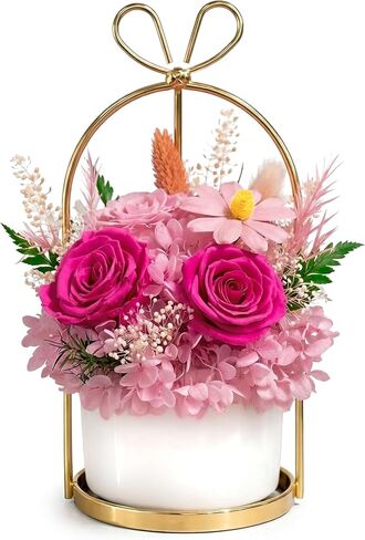 MENANA Mothers Day Roses Gifts for Mom, Wife - 9 Roses Preserved Flowers in A Box - Anniversary, Mothers Day, Birthday Gifts for Her Girlfriend Grandma Aunt Sister - Red Roses in Acrylic Keepsake Box in Saudi Arabia