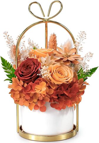 MENANA Mothers Day Roses Gifts for Mom, Wife - 9 Roses Preserved Flowers in A Box - Anniversary, Mothers Day, Birthday Gifts for Her Girlfriend Grandma Aunt Sister - Red Roses in Acrylic Keepsake Box in Saudi Arabia