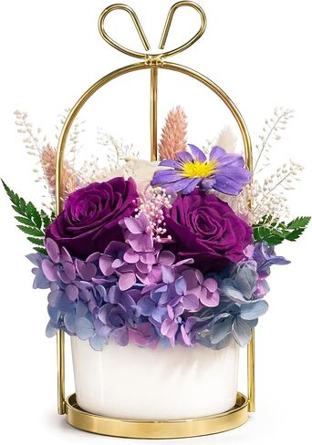 MENANA Mothers Day Roses Gifts for Mom, Wife - 9 Roses Preserved Flowers in A Box - Anniversary, Mothers Day, Birthday Gifts for Her Girlfriend Grandma Aunt Sister - Red Roses in Acrylic Keepsake Box in Saudi Arabia