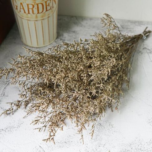 Preserved Flower Caspia Flower Bouquet,Pure Natural Flowers,Flower Arrangement Materials,2.6 Ounce,17 Inches,for Home Decoration, Wedding Decoration (Original) in Saudi Arabia