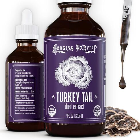 Hodgins Harvest Organic Lion's Mane Fruiting Body Extract Tincture - Mushroom Supplement for Brain Health and Mental Focus - Dual Extract Formula - Extra Concentrated - 4 fl oz Bottle in Kuwait