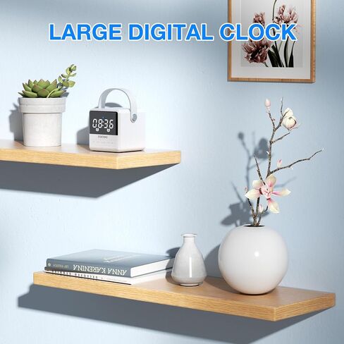 Small Portable Bluetooth Speaker, Crystal Clear Sound with LED Time Display, Built-in Mic, Support TWS Pairing and TF Card Slot for Home/Outdoor(Black) in Kuwait
