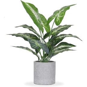 Der Rose JC nateva 16" Small Fake Plants Artificial Tropical Faux Plants Indoor for Office Desk Shelf Bathroom Home Decor in Saudi Arabia