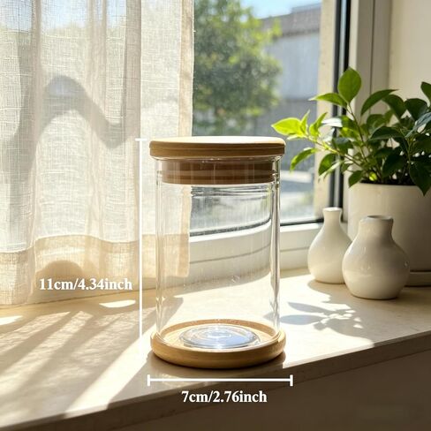 Plants Propagation Stations, Desktop Propagation Vase for Living Room, Bedroom, Wedding, Best Gifts for Plant Lovers in Kuwait