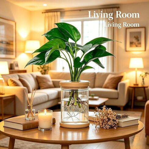 Plants Propagation Stations, Desktop Propagation Vase for Living Room, Bedroom, Wedding, Best Gifts for Plant Lovers in Kuwait