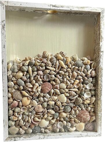 Ticket Shadow Box 11×14 White Top Loading Display Case Frame with Top Slot, Perfect for Movie Travel Concert Sporting Events Ticket Stubs Beer Caps and Memory Keepsakes Box in Kuwait