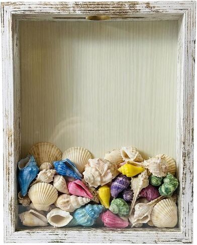 Ticket Shadow Box 11×14 White Top Loading Display Case Frame with Top Slot, Perfect for Movie Travel Concert Sporting Events Ticket Stubs Beer Caps and Memory Keepsakes Box in Kuwait