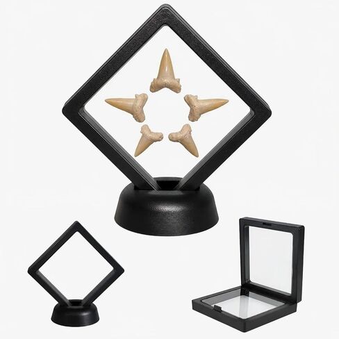 2 Pack Shark Tooth Display Case, Floating 3D Sealed Holder for Shark Teeth, Fossils & Jewelry, Dust-Proof PE Film Display Box for Collectors (2.76 x 2.76 in) in Saudi Arabia