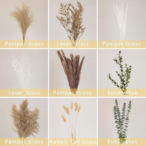 Natural Dried Pampas Grass Bouquet - 9 Varieties Mix with Eucalyptus & Bunny Tails - 17" Non-Shedding & Dye-Free Dried Flowers for Vase - Elegant Boho Home Decor for Wedding, Table & Shelf in Kuwait