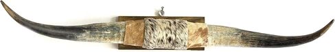 Mounted Longhorn Steer Horns, 24-35 Inch Span, Natural Finish, Cowhide with Some or All Brown Hair in Saudi Arabia