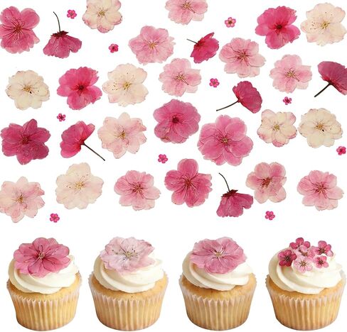 50 Pcs Pink Dried Pressed Flowers Cake Decorations Cherry Blossoms Flowers for Dessert Table Birthday Bridal Wedding Baby in Bloom Baby Shower Party Décor in Saudi Arabia