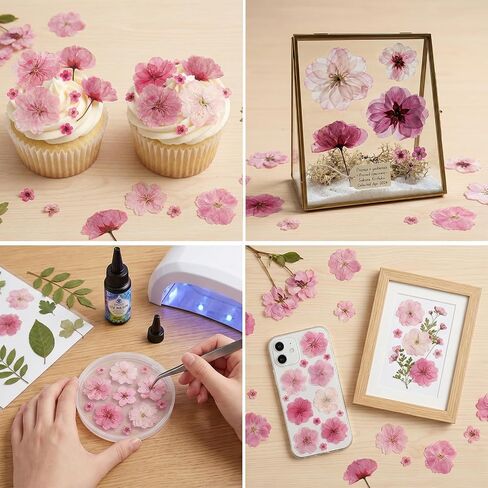 50 Pcs Pink Dried Pressed Flowers Cake Decorations Cherry Blossoms Flowers for Dessert Table Birthday Bridal Wedding Baby in Bloom Baby Shower Party Décor in Saudi Arabia