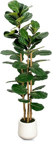 Artificial Fiddle Leaf Fig Tree in Modern White Planter, 5ft Large Fake Tree with 3 Sturdy Trunks, Fake Plants Faux Fig Tree with Moss, Lifelike Tall Artificial Plants Indoor for Office Home Decor in Saudi Arabia