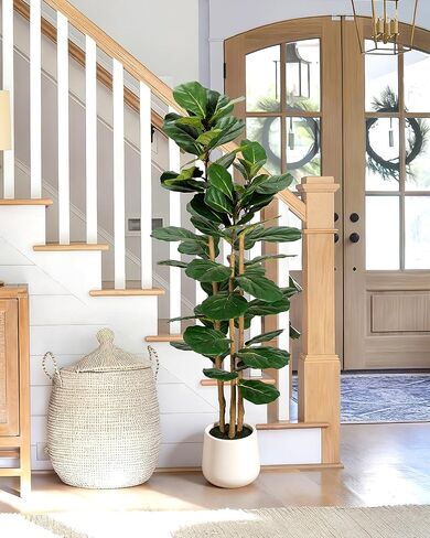 Artificial Fiddle Leaf Fig Tree in Modern White Planter, 5ft Large Fake Tree with 3 Sturdy Trunks, Fake Plants Faux Fig Tree with Moss, Lifelike Tall Artificial Plants Indoor for Office Home Decor in Saudi Arabia