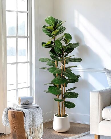 Artificial Fiddle Leaf Fig Tree in Modern White Planter, 5ft Large Fake Tree with 3 Sturdy Trunks, Fake Plants Faux Fig Tree with Moss, Lifelike Tall Artificial Plants Indoor for Office Home Decor in Saudi Arabia