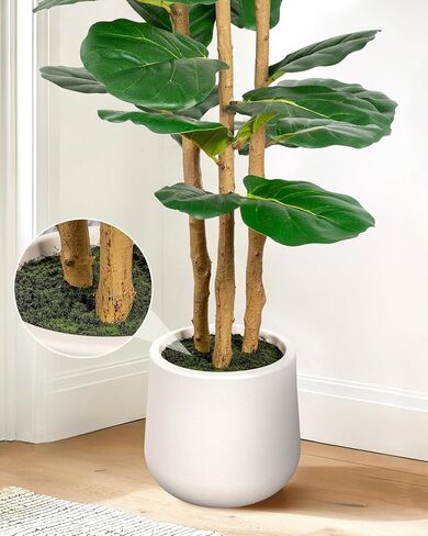 Artificial Fiddle Leaf Fig Tree in Modern White Planter, 5ft Large Fake Tree with 3 Sturdy Trunks, Fake Plants Faux Fig Tree with Moss, Lifelike Tall Artificial Plants Indoor for Office Home Decor in Saudi Arabia