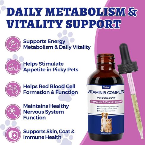 Wellix 4.06 fl oz Vitamin B Complex Drops for Dogs & Cats - Cat and Dog Appetite Stimulant, Energy Support & Healthy Skin - Chicken Flavor B Complex Vitamins (B3, B1, B12, B5, B2, etc.) in Saudi Arabia