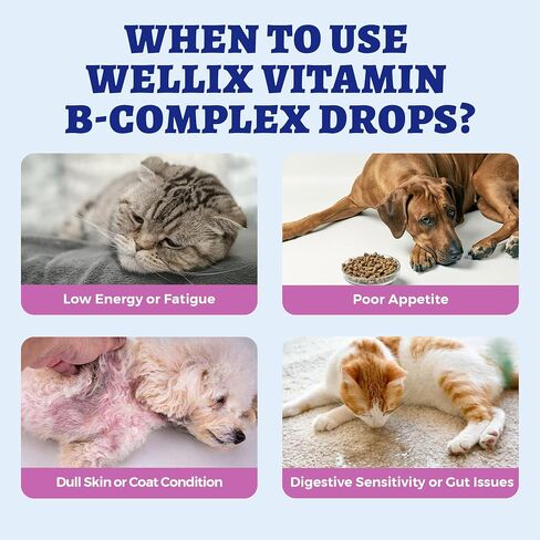 Wellix 4.06 fl oz Vitamin B Complex Drops for Dogs & Cats - Cat and Dog Appetite Stimulant, Energy Support & Healthy Skin - Chicken Flavor B Complex Vitamins (B3, B1, B12, B5, B2, etc.) in Saudi Arabia