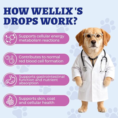 Wellix 4.06 fl oz Vitamin B Complex Drops for Dogs & Cats - Cat and Dog Appetite Stimulant, Energy Support & Healthy Skin - Chicken Flavor B Complex Vitamins (B3, B1, B12, B5, B2, etc.) in Saudi Arabia