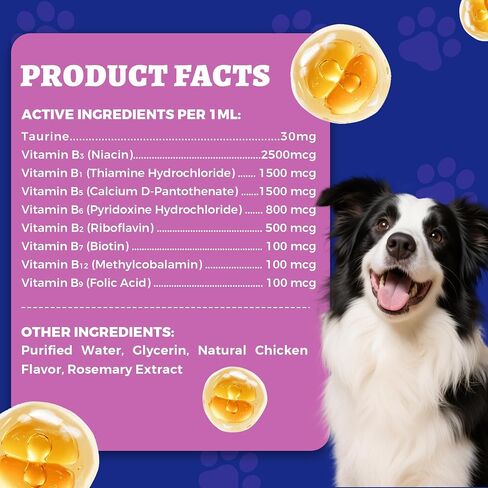 Wellix 4.06 fl oz Vitamin B Complex Drops for Dogs & Cats - Cat and Dog Appetite Stimulant, Energy Support & Healthy Skin - Chicken Flavor B Complex Vitamins (B3, B1, B12, B5, B2, etc.) in Saudi Arabia