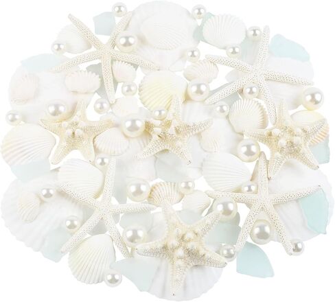 36 PCS Starfish Scallop Shells, 2"- 4" Natural Sea Shells White Seashells with Seaglass and Pearls Natural Beach Sea Shell for Crafts Home Wedding Ocean Themed Party Decoration in Saudi Arabia