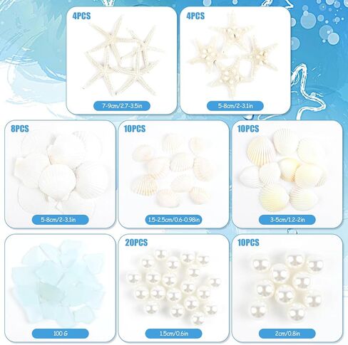 36 PCS Starfish Scallop Shells, 2"- 4" Natural Sea Shells White Seashells with Seaglass and Pearls Natural Beach Sea Shell for Crafts Home Wedding Ocean Themed Party Decoration in Saudi Arabia