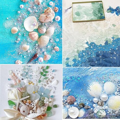 36 PCS Starfish Scallop Shells, 2"- 4" Natural Sea Shells White Seashells with Seaglass and Pearls Natural Beach Sea Shell for Crafts Home Wedding Ocean Themed Party Decoration in Saudi Arabia