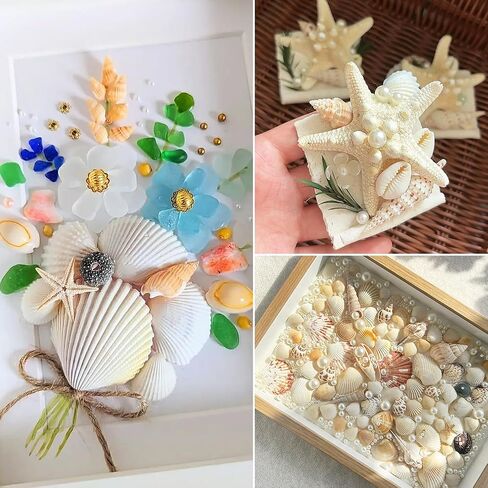 36 PCS Starfish Scallop Shells, 2"- 4" Natural Sea Shells White Seashells with Seaglass and Pearls Natural Beach Sea Shell for Crafts Home Wedding Ocean Themed Party Decoration in Saudi Arabia
