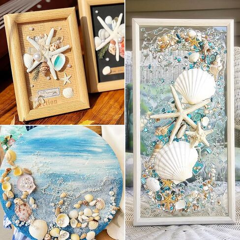 36 PCS Starfish Scallop Shells, 2"- 4" Natural Sea Shells White Seashells with Seaglass and Pearls Natural Beach Sea Shell for Crafts Home Wedding Ocean Themed Party Decoration in Saudi Arabia