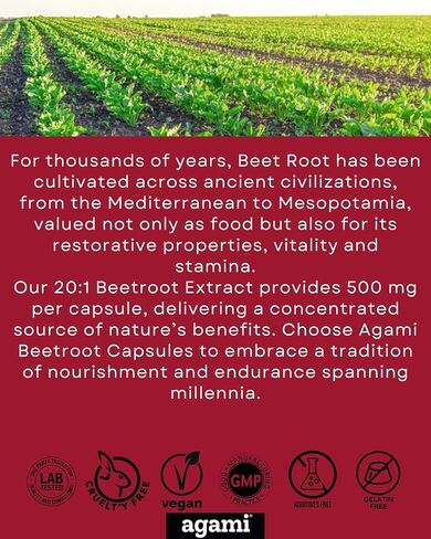 Agami Beet Root Capsules | 4 Month Supply | 500mg 20:1 Extract | Nitric Oxide Support | Beet Root Supplement - 120 Capsules in Saudi Arabia