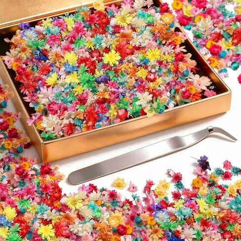580Pcs Mini Dried Flowers for Resin–Small Pressed Flowers for DIY Crafts, mini flowers Resin Nails, Jewelry, Earrings, Soap & Candle Making, Bulk Tiny Floral Accessories for Creative Projects Tweezers in Kuwait