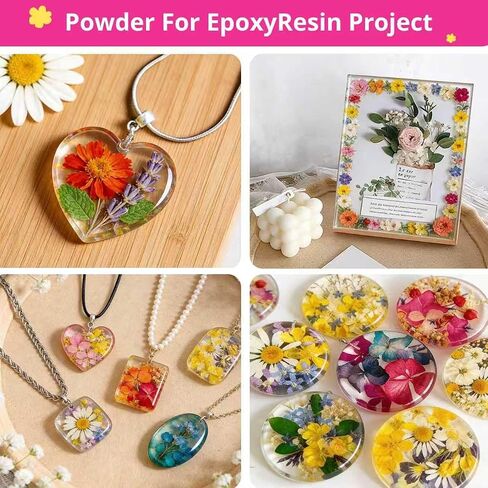 580Pcs Mini Dried Flowers for Resin–Small Pressed Flowers for DIY Crafts, mini flowers Resin Nails, Jewelry, Earrings, Soap & Candle Making, Bulk Tiny Floral Accessories for Creative Projects Tweezers in Kuwait