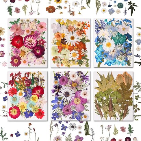 182 PCS Real Pressed Dried Flowers and Leaves with & Tweezers Natural Dried Flowers for Resin, Candle, Jewelry, Scrapbooking & DIY Crafts (Multicolor2) in Saudi Arabia