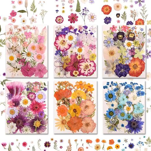 182 PCS Real Pressed Dried Flowers and Leaves with & Tweezers Natural Dried Flowers for Resin, Candle, Jewelry, Scrapbooking & DIY Crafts (Multicolor2) in Kuwait