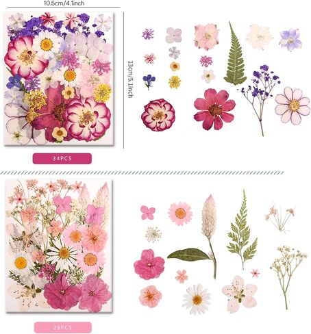 182 PCS Real Pressed Dried Flowers and Leaves with & Tweezers Natural Dried Flowers for Resin, Candle, Jewelry, Scrapbooking & DIY Crafts (Multicolor2) in Kuwait