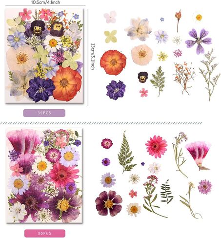 182 PCS Real Pressed Dried Flowers and Leaves with & Tweezers Natural Dried Flowers for Resin, Candle, Jewelry, Scrapbooking & DIY Crafts (Multicolor2) in Kuwait