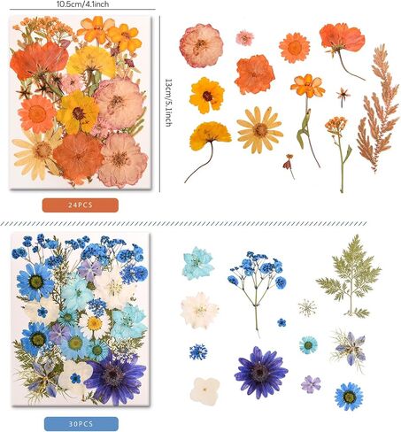 182 PCS Real Pressed Dried Flowers and Leaves with & Tweezers Natural Dried Flowers for Resin, Candle, Jewelry, Scrapbooking & DIY Crafts (Multicolor2) in Kuwait