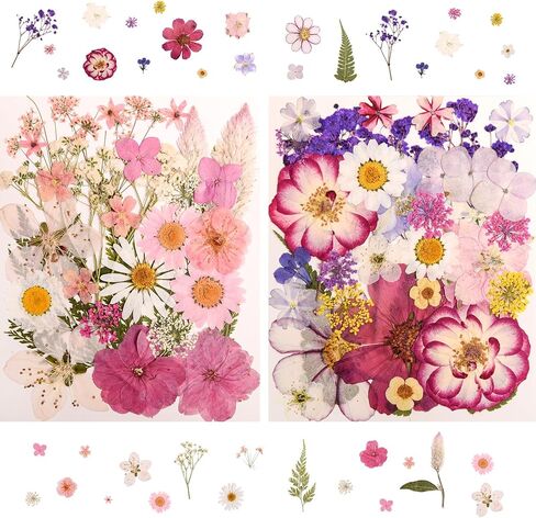 182 PCS Real Pressed Dried Flowers and Leaves with & Tweezers Natural Dried Flowers for Resin, Candle, Jewelry, Scrapbooking & DIY Crafts (Multicolor2) in Kuwait