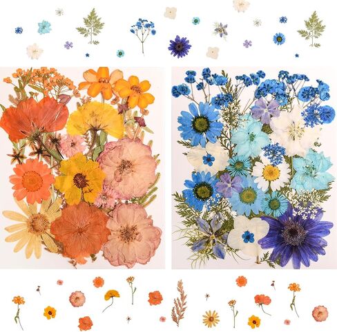 182 PCS Real Pressed Dried Flowers and Leaves with & Tweezers Natural Dried Flowers for Resin, Candle, Jewelry, Scrapbooking & DIY Crafts (Multicolor2) in Kuwait