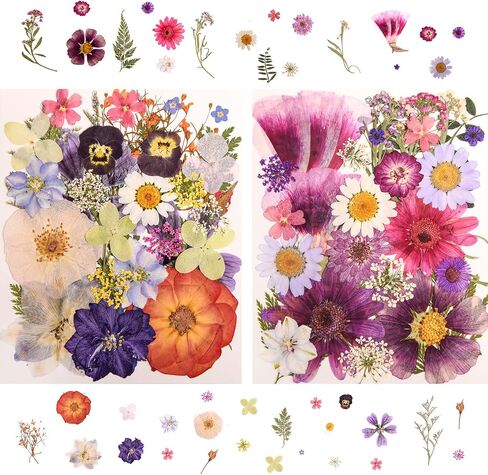 182 PCS Real Pressed Dried Flowers and Leaves with & Tweezers Natural Dried Flowers for Resin, Candle, Jewelry, Scrapbooking & DIY Crafts (Multicolor2) in Kuwait