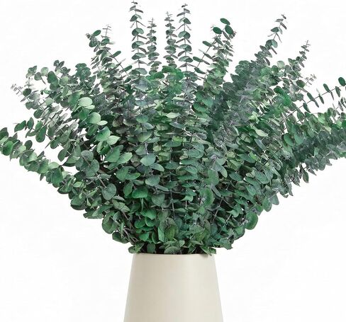 50 Pcs Preserved Eucalyptus Stems, 17 Inch Real Dried Eucalyptus Branches for Shower, Vase Arrangements, Home Decor, Wedding, Bathroom in Saudi Arabia
