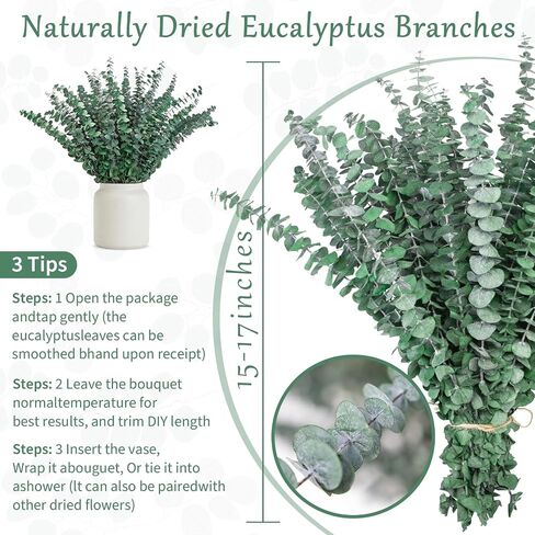 50 Pcs Preserved Eucalyptus Stems, 17 Inch Real Dried Eucalyptus Branches for Shower, Vase Arrangements, Home Decor, Wedding, Bathroom in Saudi Arabia