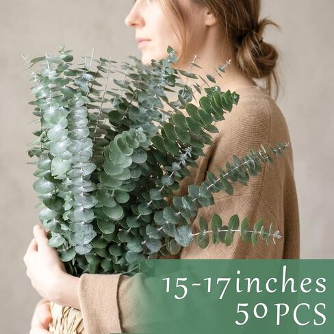 50 Pcs Preserved Eucalyptus Stems, 17 Inch Real Dried Eucalyptus Branches for Shower, Vase Arrangements, Home Decor, Wedding, Bathroom in Saudi Arabia