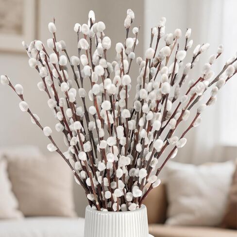 25 Stems Natural Dried Pussywillow Branches for Vases Decor, 15''-17'' Real Preserved Pussywillows with White Snow Willow Branches for Home Decor Wedding Party DIY Floral, Fireplace &Yard Decor in Saudi Arabia